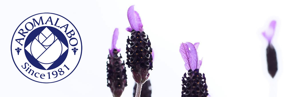 スライド画像１