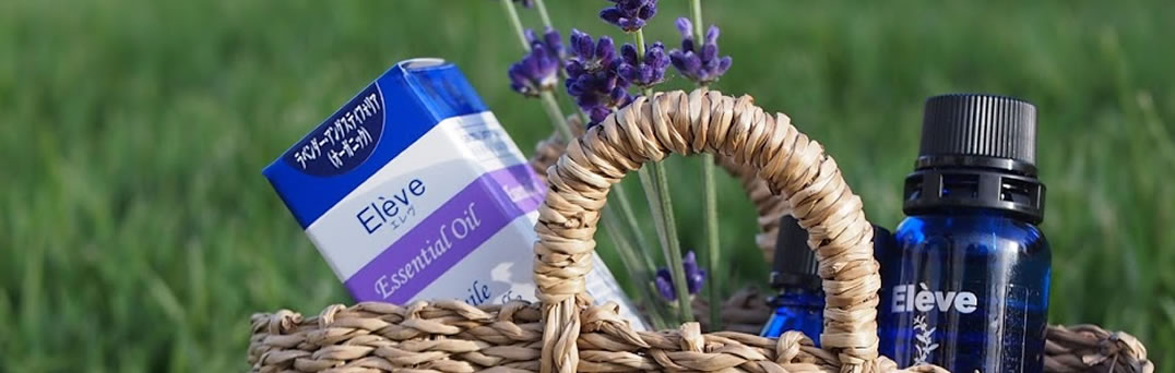 スライド画像１